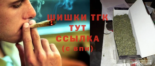 дживик Богородск