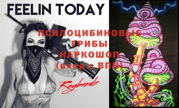 дживик Богородск