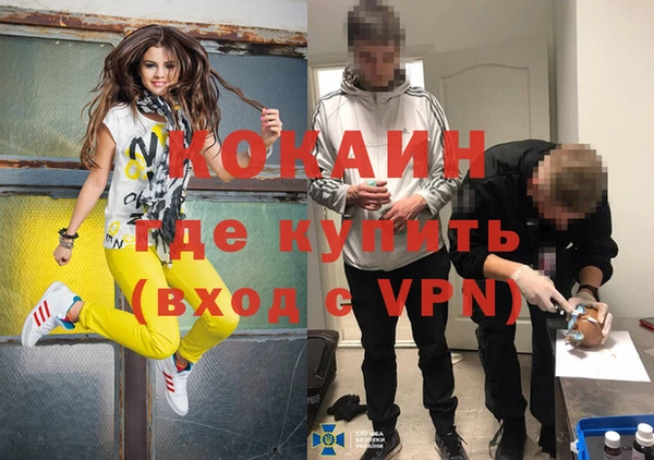 дживик Богородск