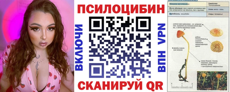 Галлюциногенные грибы Magic Shrooms Богородицк